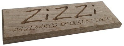 Oak name plate 300mm x 100mm with up to 10 letters