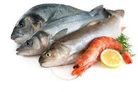 Fish/Seafood