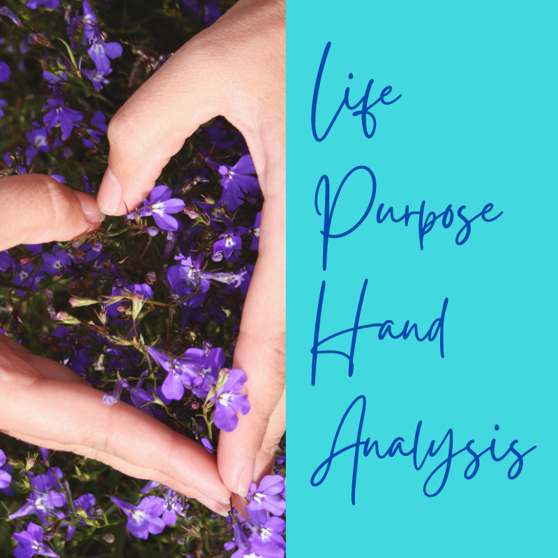 Life Purpose Hand Analysis Session