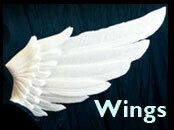 Handmade Wings