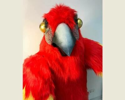 Profesional Theatre Parrot Costume : Handmade
