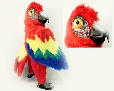 Profesional Theatre Parrot Costume : Handmade Profesional Theatre Parrot Costume : Handmade