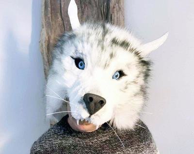 white wolf mask headdress hand made by Tentacle Studio