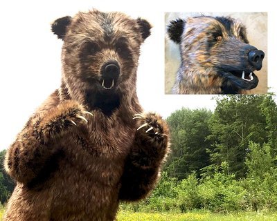 Realistic Bear Costume : Handmade Realistic Bear Costume : Handmade