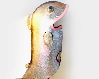 Fish Custom Costume Adult Size : Handmade