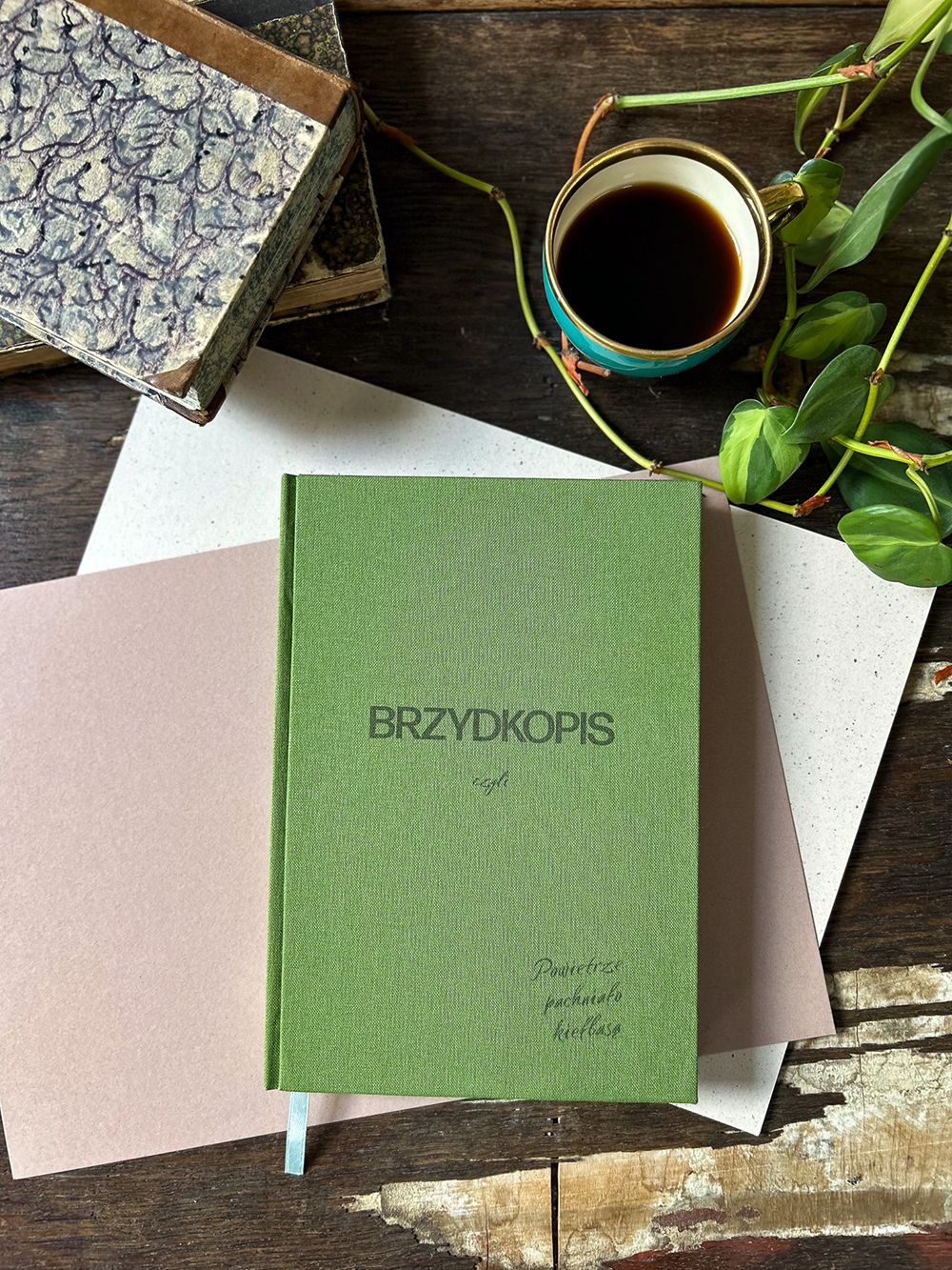 Brzydkopis