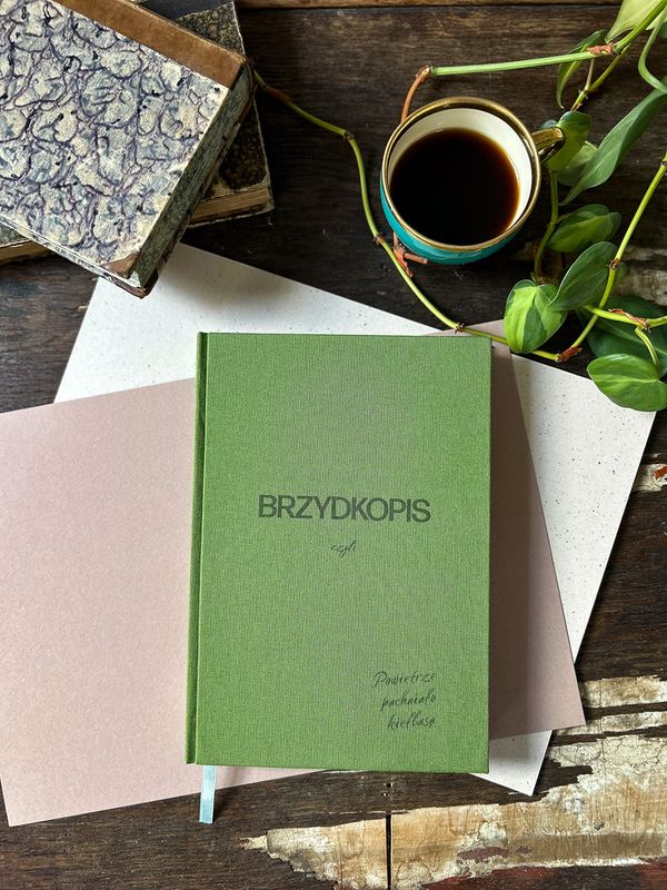 Brzydkopis
