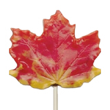Fall