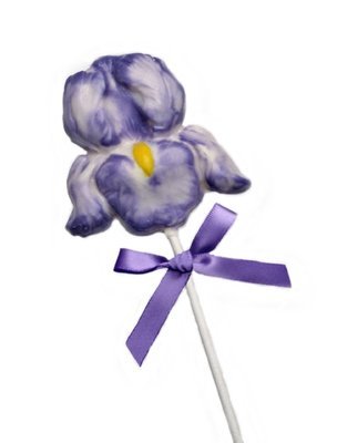 Iris - Purple