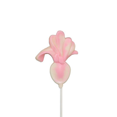 Chocolate Lollipops - Pollylops® - Cala Lily