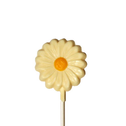 Chocolate Lollipops (Pollylops® Single Daisy)