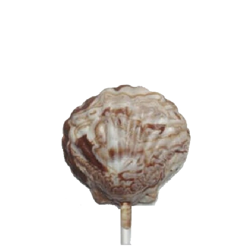 Shell