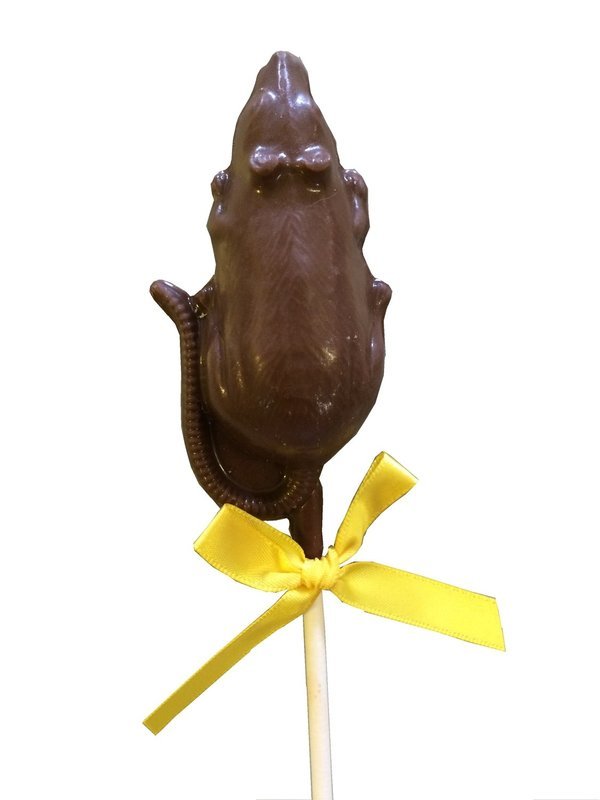 Rat