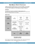 New Market Entry Strategies