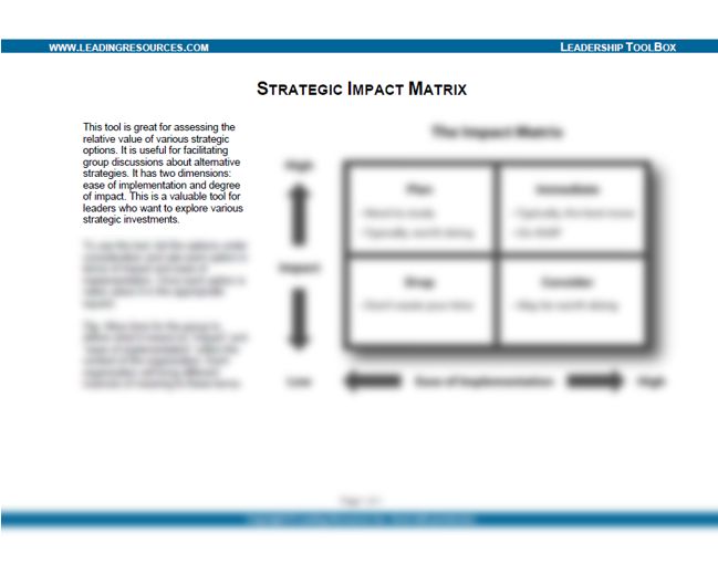 Strategic Impact Matrix