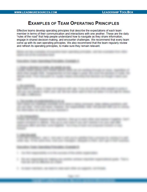 Examples of Team Operating Principles