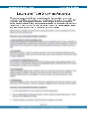 Examples of Team Operating Principles