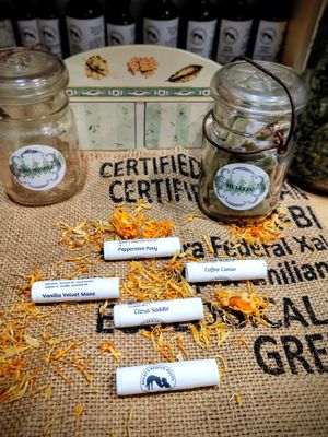 Heal and Protect Lip Balms