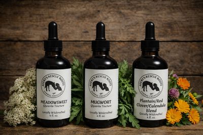 Tinctures M-P