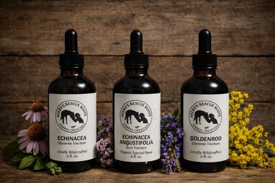 Tinctures D-G