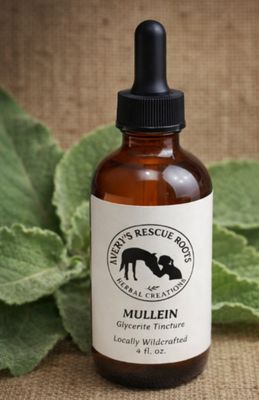 Respiratory &amp; Lung Health