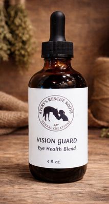 Eye &amp; Vision Support