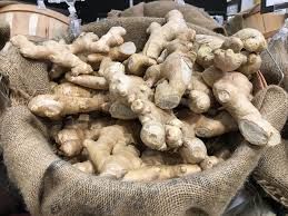 Ginger Root