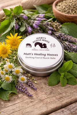 Matt's Healing Hooves Foot &amp; Muscle Balm