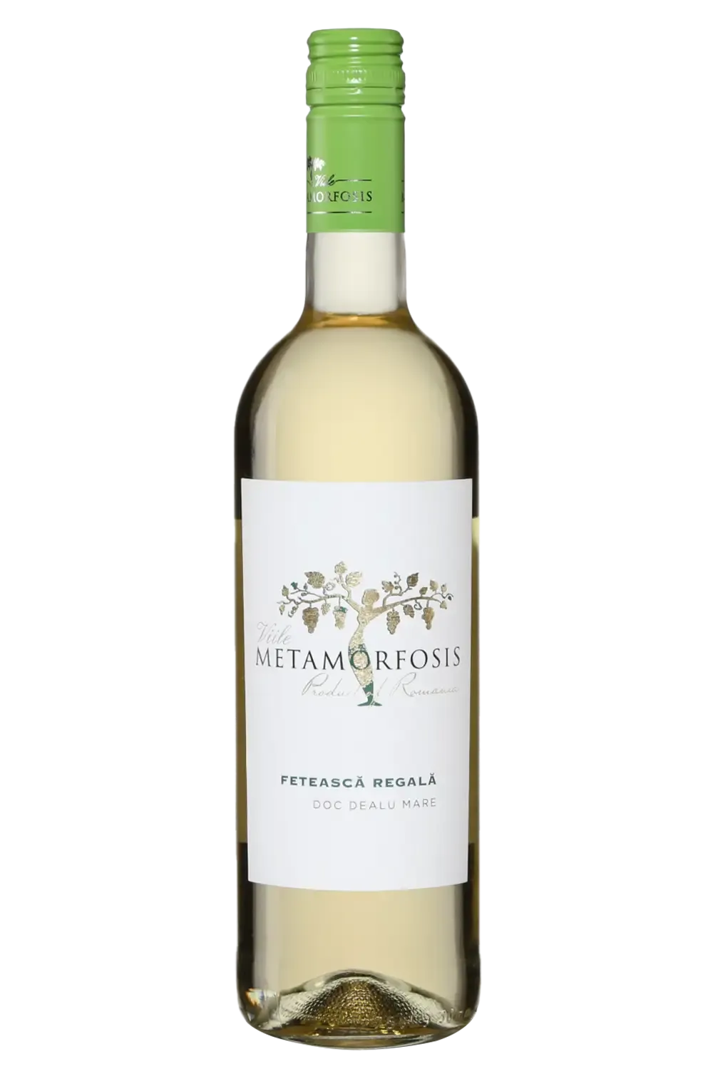 Ville Metamorfosis Feteasca Regala 2023