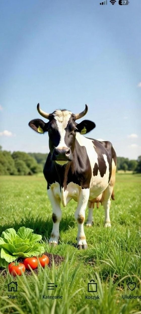 OBORNIK GRANULOWANY 25 KG BYDLĘY Ekologiczny Jesienny Wiosenny POMIDORY