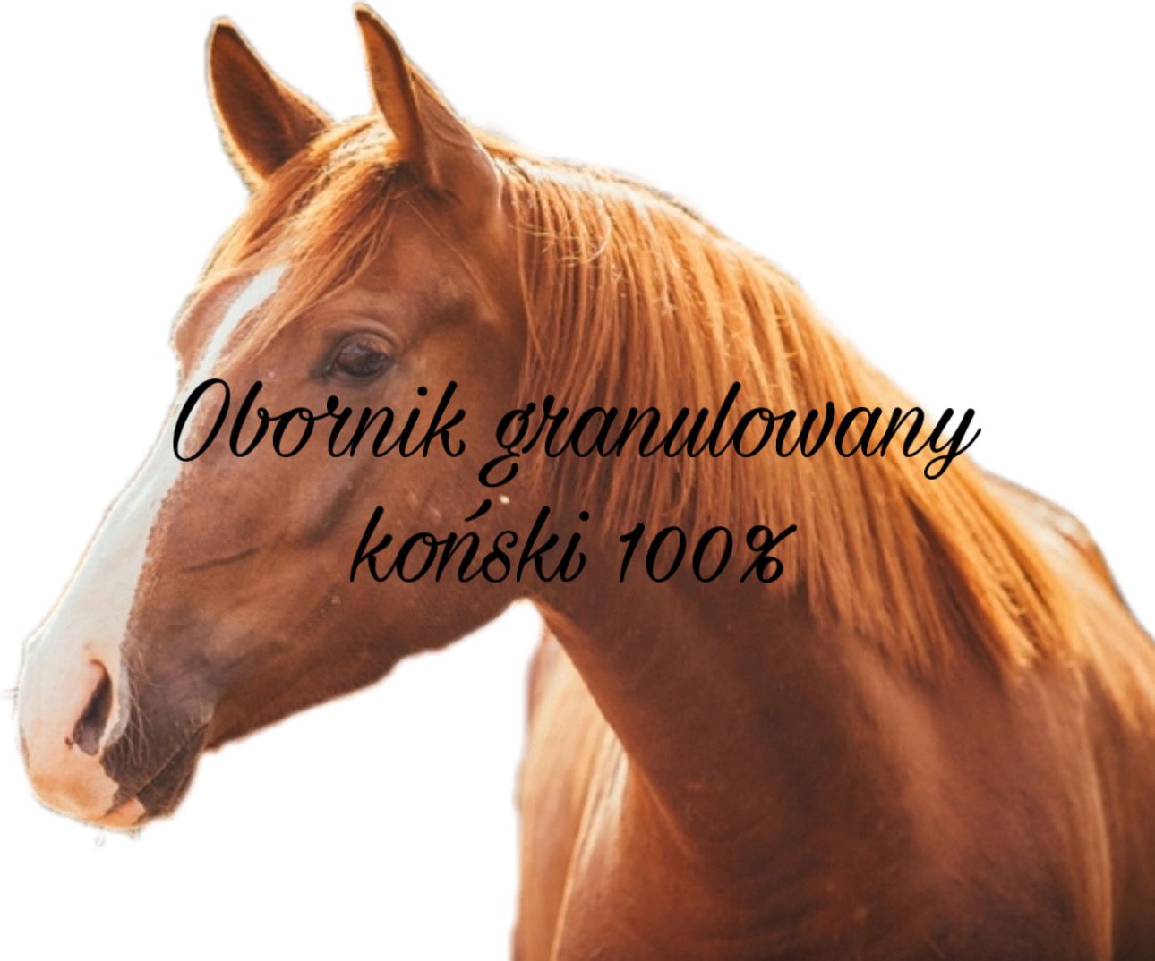 Granulowany Obornik Koński 20 kg DO Pomidorów Świeży Ekologiczny NAWÓZ EKO