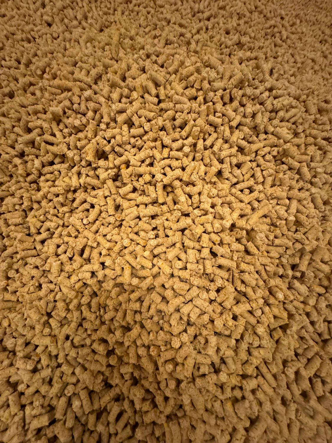 KUKURYDZA 20 KG GRANULOWANA Pellet 6 mm Karp Lin Leszcz Płoć Karaś Amur