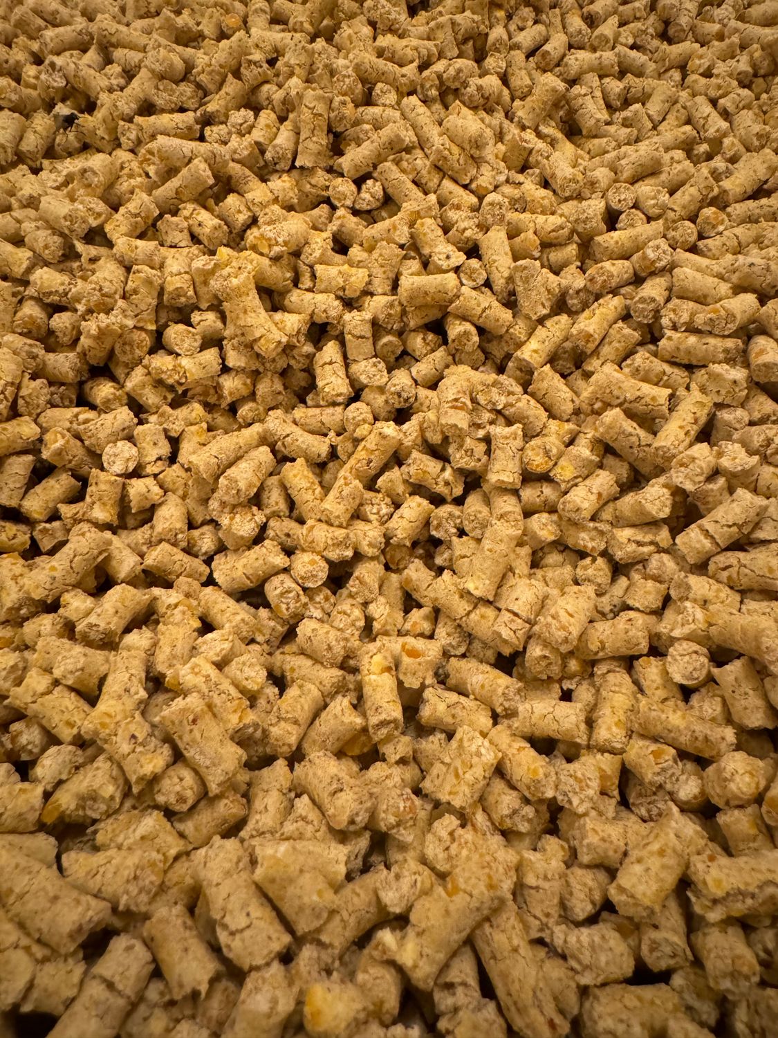 ZANĘTA Wędkarska 10 kg Pellet Kukurydza Granulowana 6mm Karpie Liny Jezior