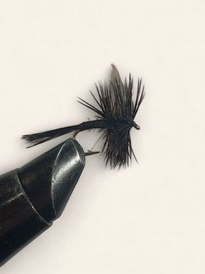 Dry Flies Black Gnat #12