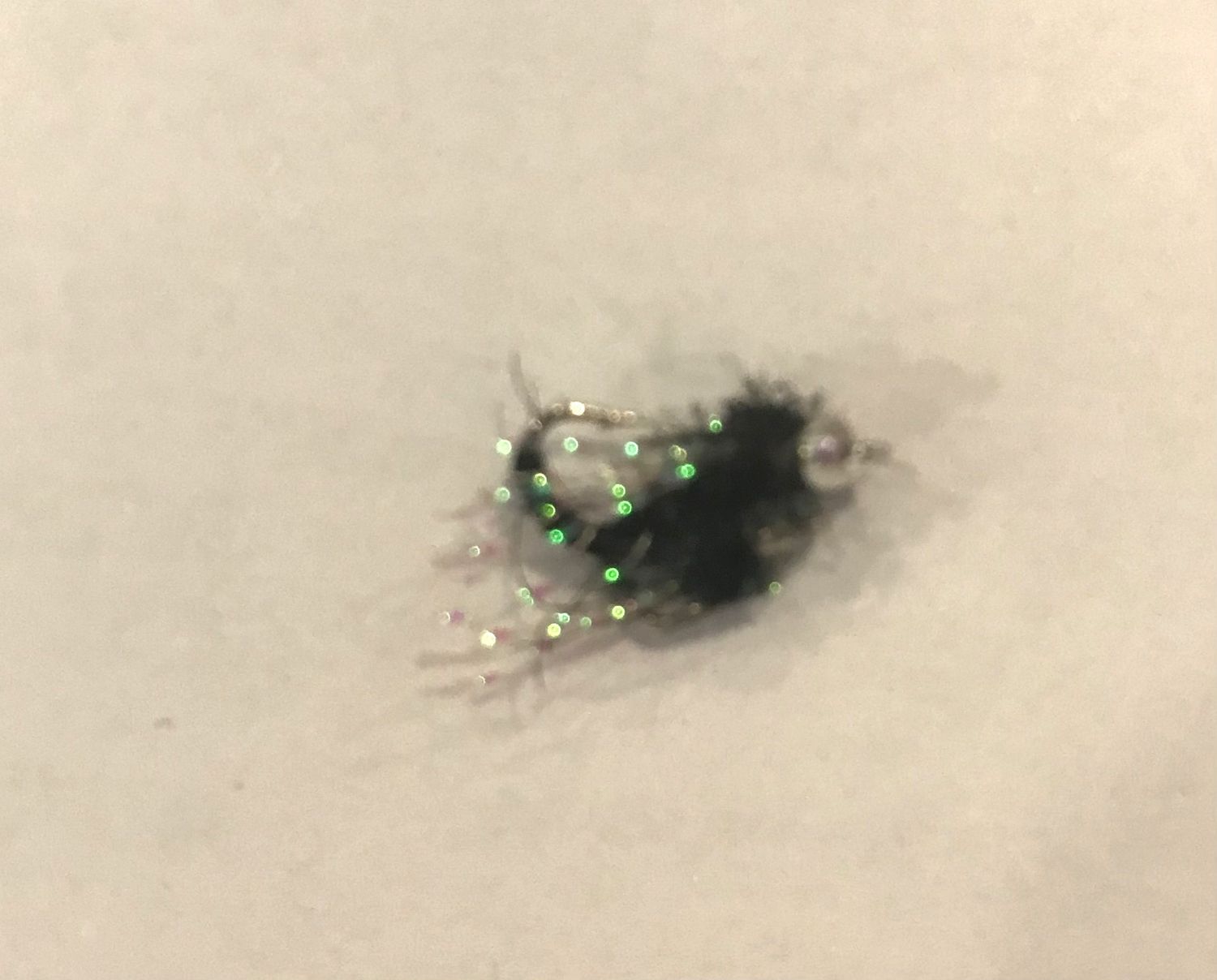 Dry Flies Nymph Crystal Midge #14