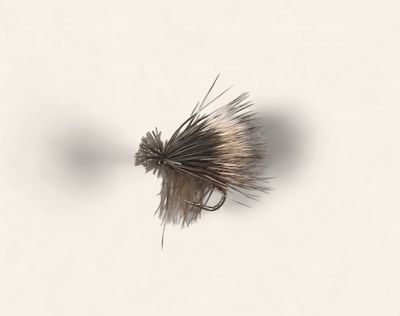Dry Flies Elk Hair Caddis Brown #12