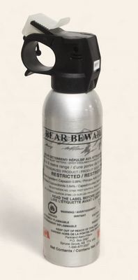 Bear Beware Plus