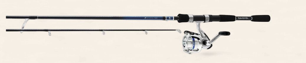 Daiwa D-Shock Spin Combo 2BB 5'6, Light, 2pc Fishing Rod