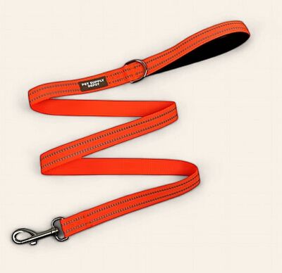 dog leash