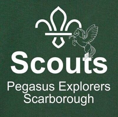 Pegasus Explorer Scouts