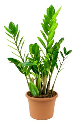 Photos are for illustration purpose 