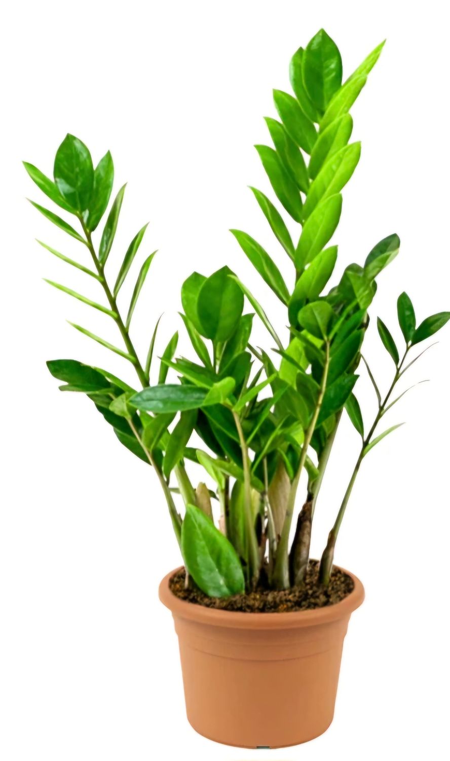 Photos are for illustration purpose 