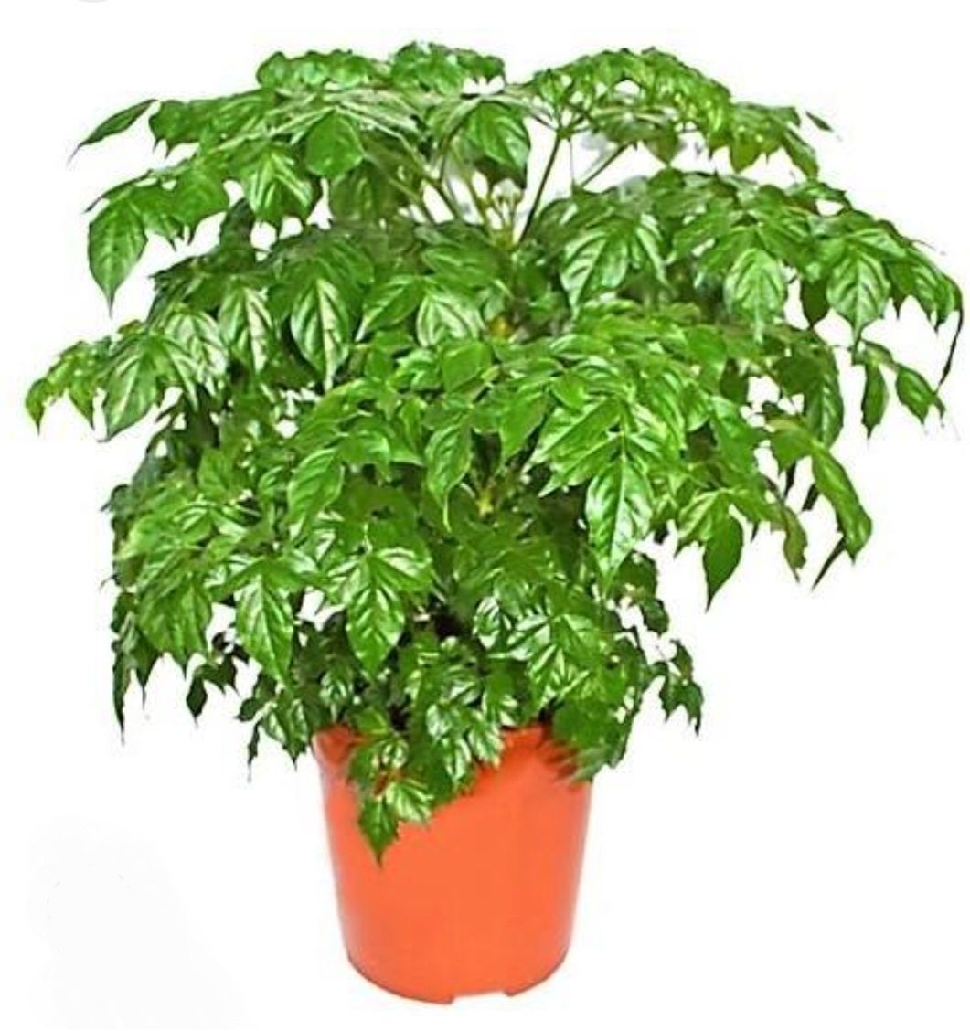 Photos are for illustration purpose