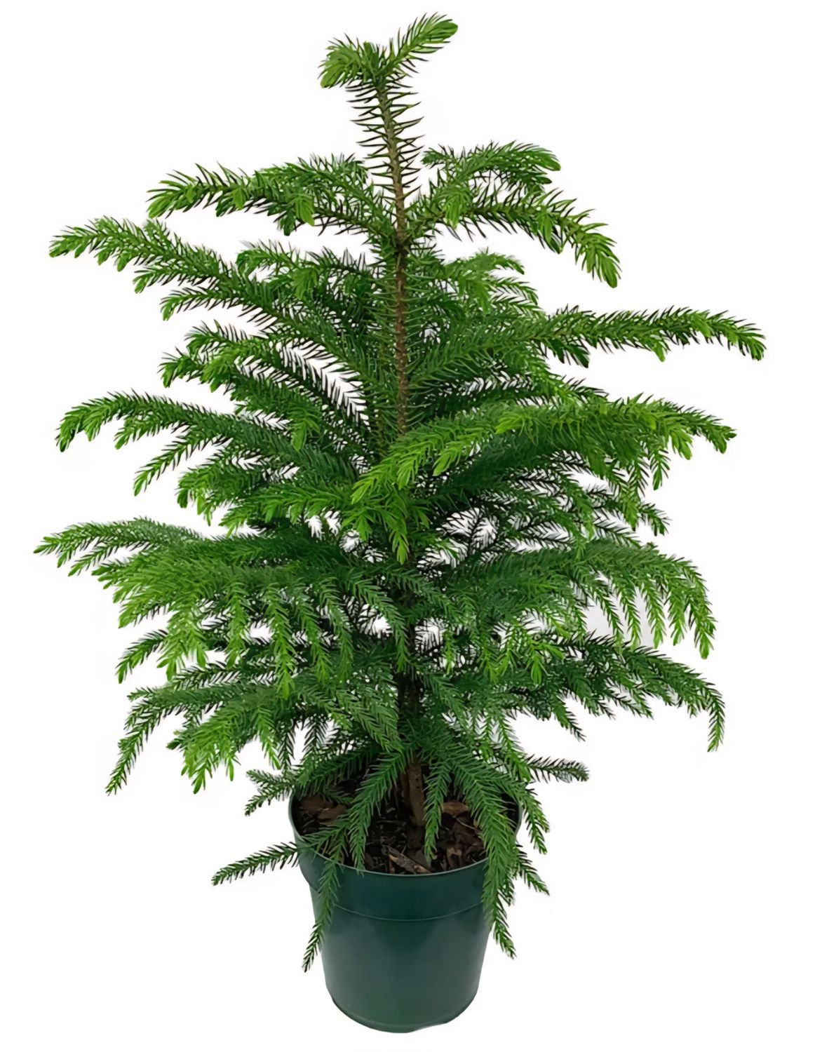 This photo is for illustration purpose