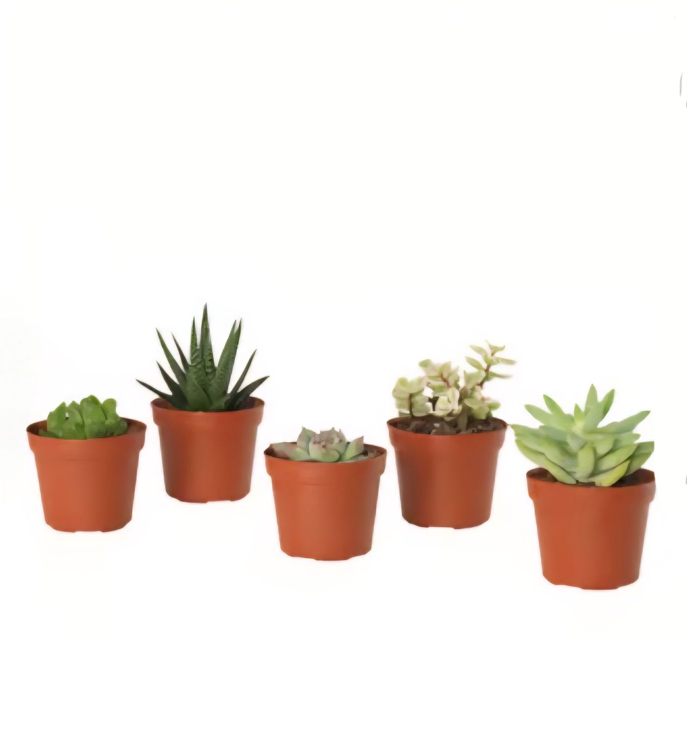 Photos are for illustration purpose 