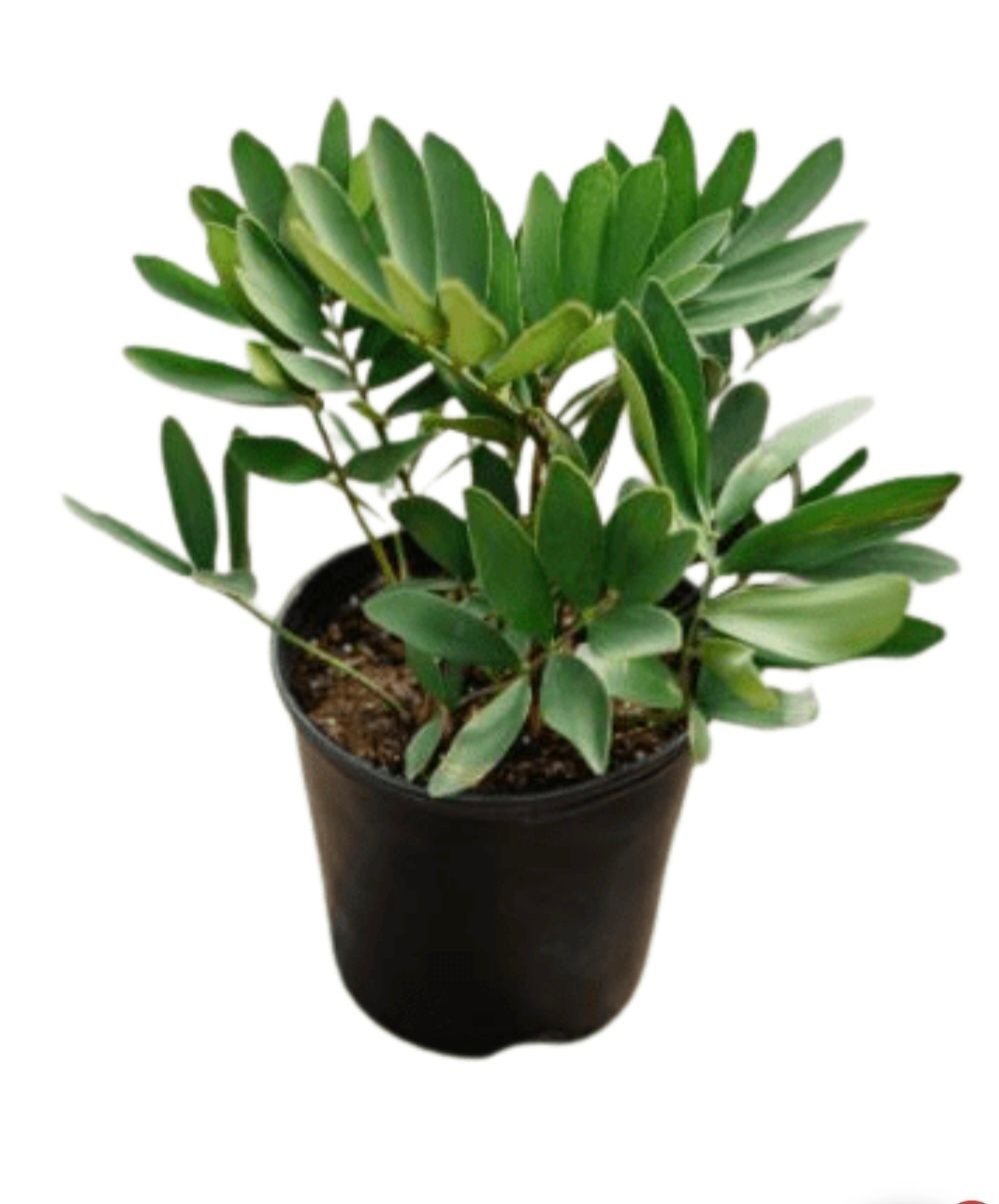 Photos are for illustration purpose 