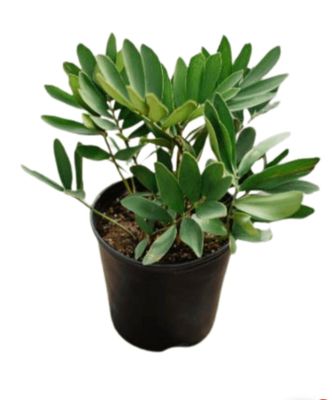 Photos are for illustration purpose 