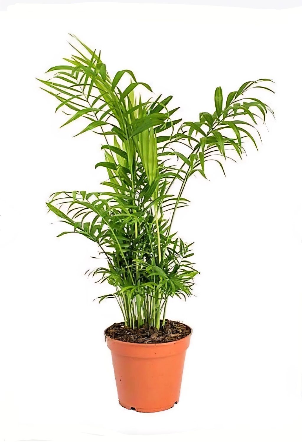 Photos are for illustration purpose 