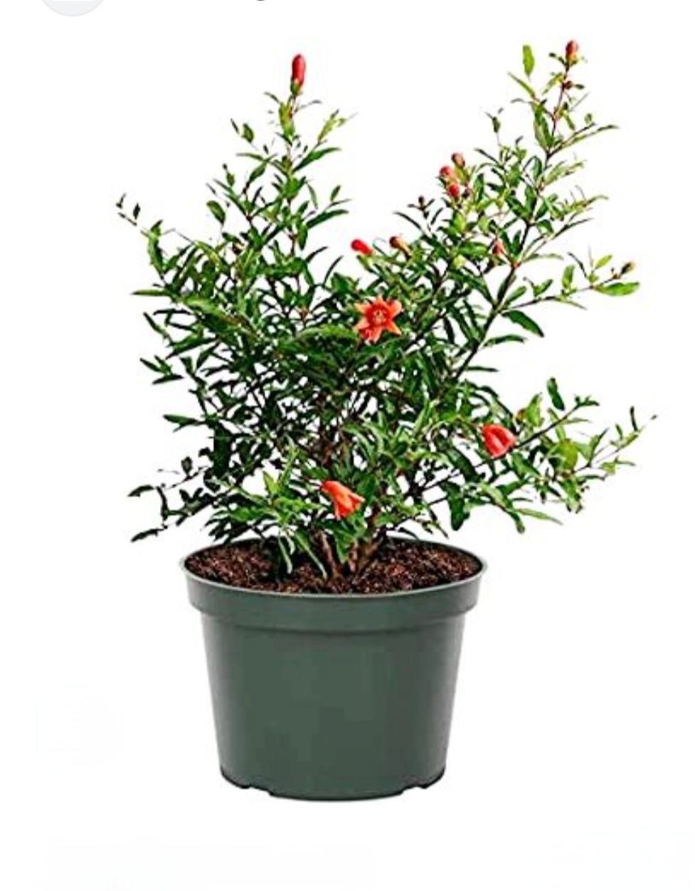 Photos are for illustration purpose 