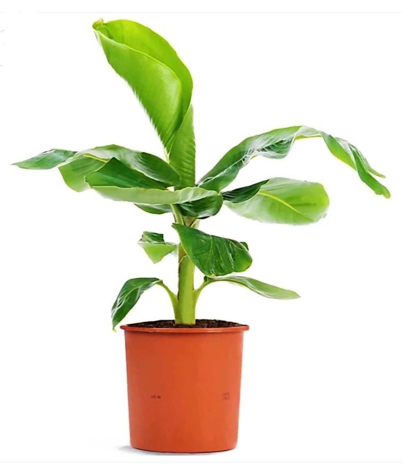 Photos are for illustration purpose 